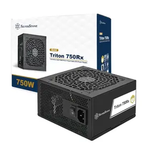 SILVERSTONE TR750R TRITON 750W CYBENETICS GOLD ATX 3.1 G5 -